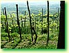 DSCF5951.JPG