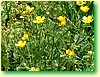 DSCF5955.JPG