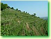 DSCF5956.JPG