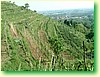 DSCF5957.JPG