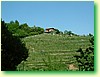 DSCF5959.JPG