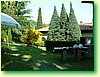 DSCF5964.JPG