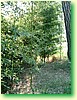 DSCF5974.JPG