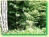 DSCF5975.JPG