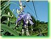 DSCF5978.JPG