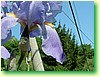 DSCF5979.JPG
