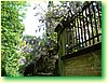 DSCF5981.JPG