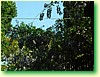 DSCF5982.JPG
