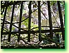 DSCF5983.JPG