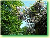 DSCF5984.JPG