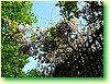 DSCF5985.JPG