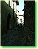 DSCF5991.JPG