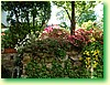 DSCF5995.JPG