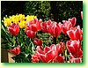 DSCF5997.JPG