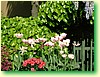 DSCF5999.JPG