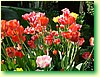 DSCF6003.JPG