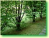 DSCF6009.JPG