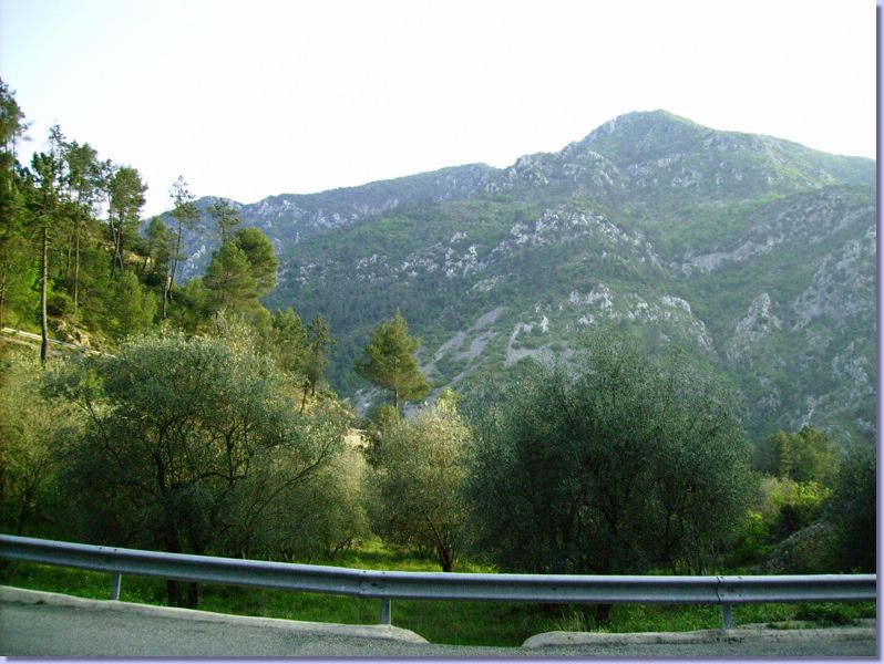 IMGP0107.JPG