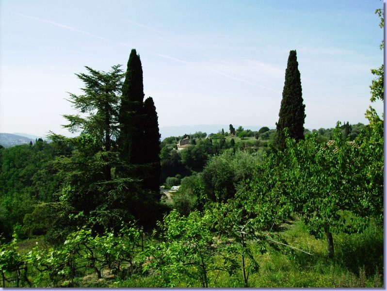 IMGP0114.JPG