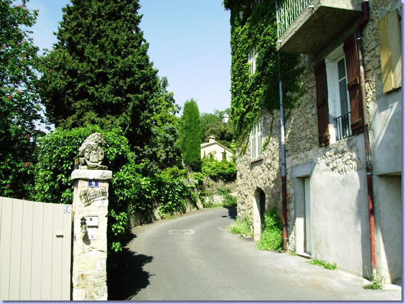 IMGP0116.JPG