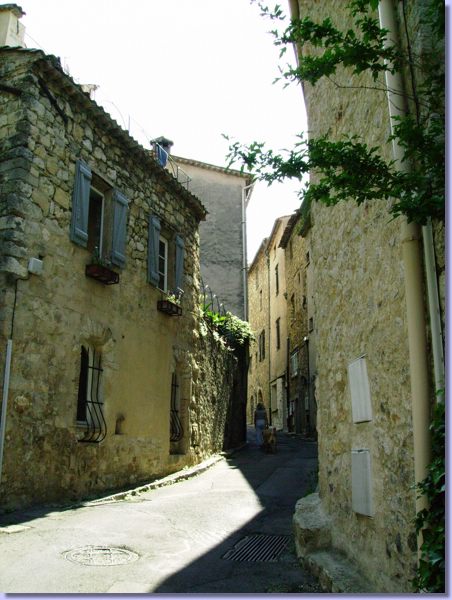 IMGP0117.JPG