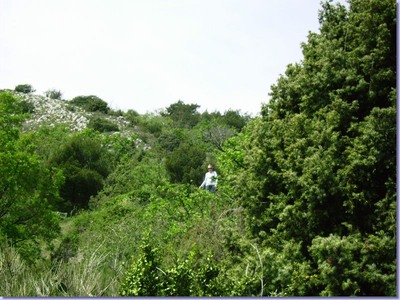 IMGP0136.JPG