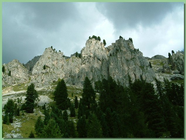 DSCF8125.JPG