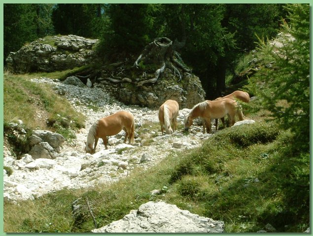 DSCF8126.JPG