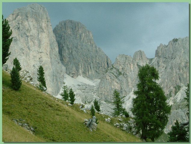 DSCF8140.JPG