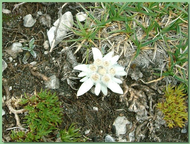 DSCF8173.JPG