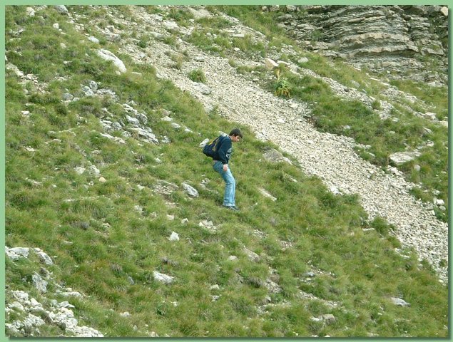 DSCF8176.JPG