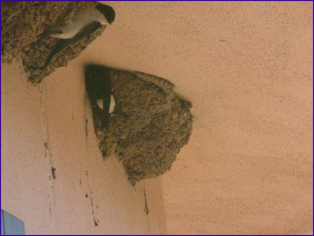 DSCF1992.JPG