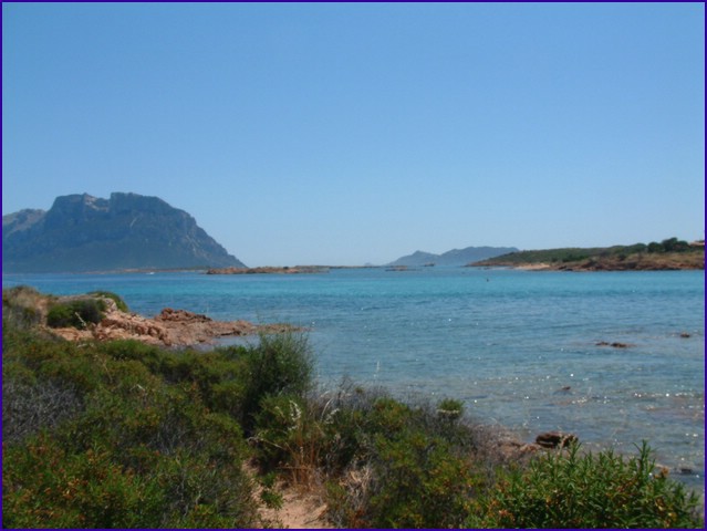 DSCF2034.JPG