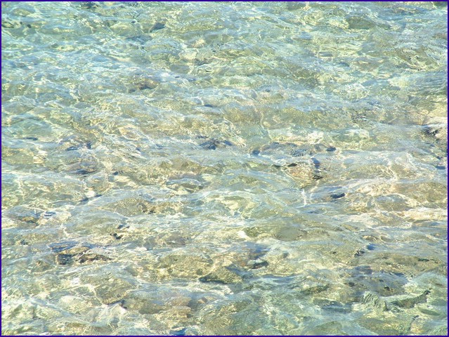DSCF2047.JPG