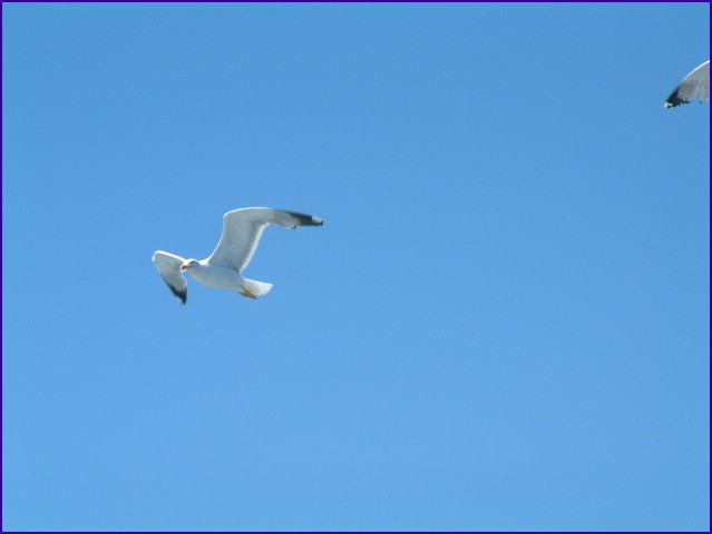 DSCF2266.JPG