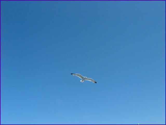 DSCF2282.JPG