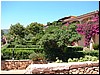 DSCF2003.JPG