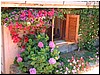 DSCF2004.JPG