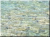 DSCF2047.JPG