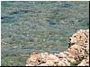 DSCF2048.JPG