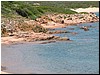 DSCF2050.JPG