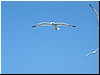 DSCF2265.JPG