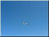 DSCF2282.JPG