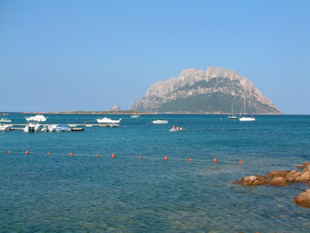 DSCF2481.JPG
