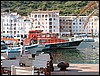 DSCF2442.JPG