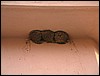 DSCF2516.JPG