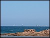 DSCF2540.JPG
