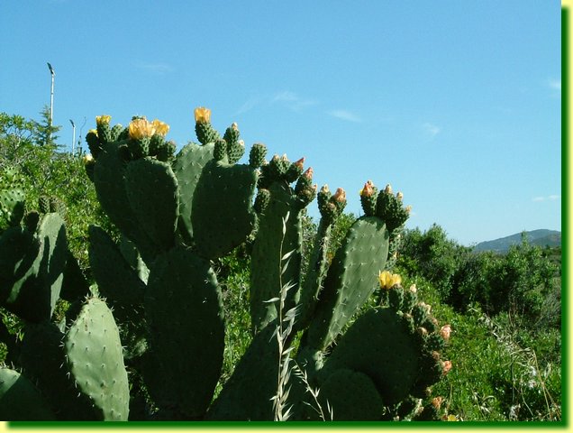 DSCF0204.JPG