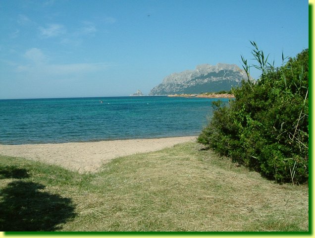 DSCF0206.JPG