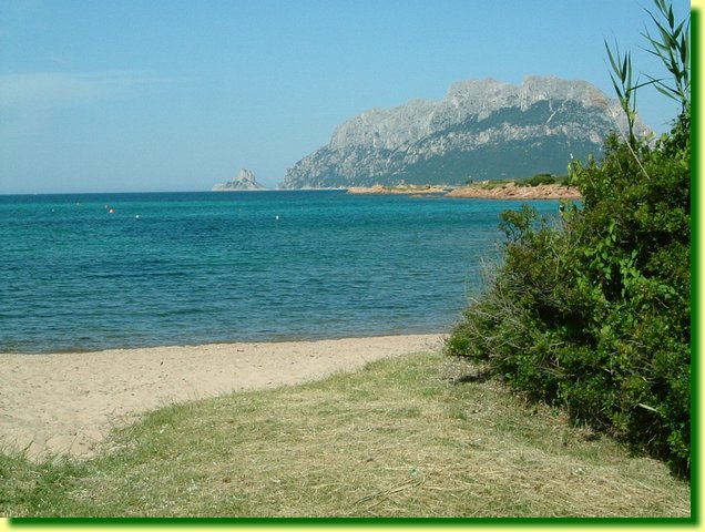 DSCF0207.JPG